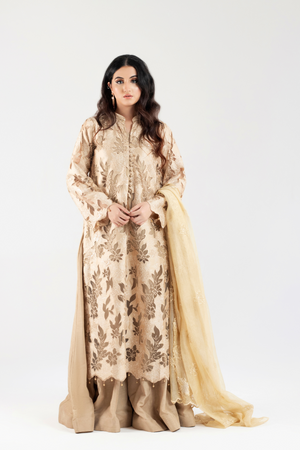 Designer 14